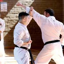 Image result for GKR KARATE - ESSEX & SUFFOLK