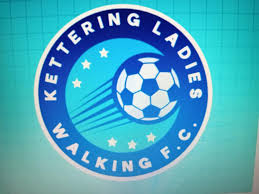 Image result for Braunton Football Club