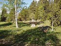 Attēlu rezultāti vaicājumam “Leucodonta bicoloria imago”