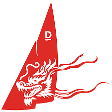 Image result for TRIANGLE CHANGQUAN FLYING DRAGON