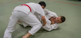 Image result for Sneyd Judo Club