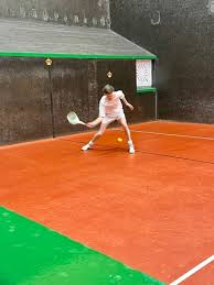 Image result for Jesmond Dene Real Tennis Club