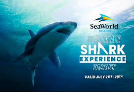 Image result for South Axholme Sharks Asc