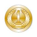 Gold Medal Round Stickers from Zazzle.