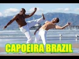 Image result for Brazilian-martial arts