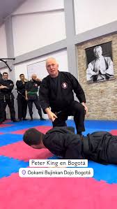 Image result for Peter Kings Dojo