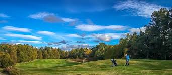 Image result for Abernethy Golf Club