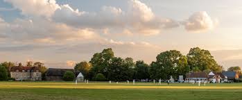 Image result for Ickwell Cricket Club