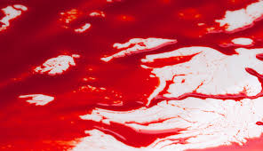Image result for blood