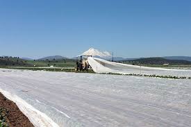 Image result for платформа Андрос