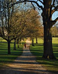 Image result for Victoria Park Bowling Club (Bath)