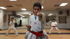 Image result for Sokudo Martial Arts Club