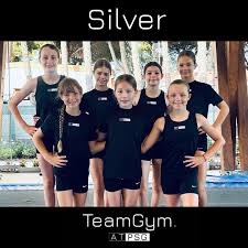 Image result for Portsmouth School Of Gymnastics