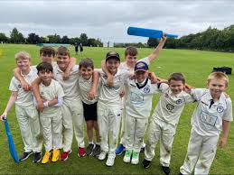 Image result for Hunslet Nelson Cricket Club