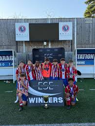 Image result for Dorking Football Club Limited