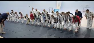 Image result for Derwent Jujitsu Academies