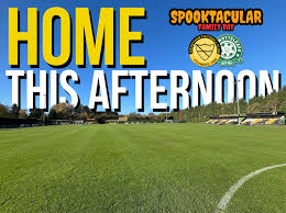 Image result for Merstham Football Club