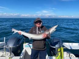 Image result for Braintree Sea Angling Club