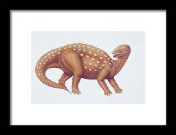 Image result for MINMI