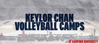 Image result for University Of Birmingham Volleyball Club