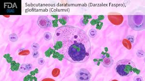 Attēlu rezultāti vaicājumam “Diderma simplex macro”