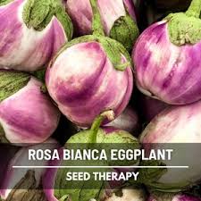 Afbeeldingsresultaat voor bianca a uovo eggplant