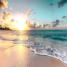 Image result for bilder