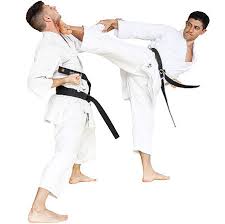 Image result for Imi Jishin Ryou karate do