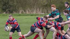 Image result for Watford Rugby Football Club