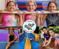 Image result for flip and twist