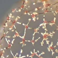 Attēlu rezultāti vaicājumam “Cribraria ferruginea”