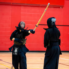 Image result for York University Taekwondo Club