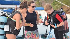 Image result for Seabug Divers