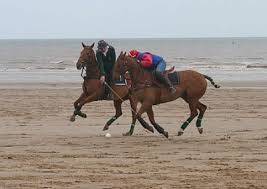 Image result for White Rose Polo Club