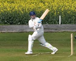Image result for Hampole & Skelbrooke Cricket Club