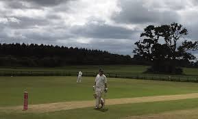 Image result for Checkendon Cricket Club