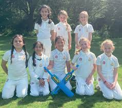 Image result for Tadworth Cricket Club