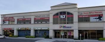 Image result for New Milton Taekwondo Club