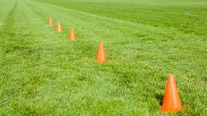 Image result for Thornhill Trojans Amateur Rugby League Football Club