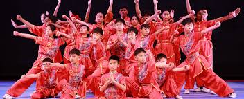Image result for Dragon Wushu Club