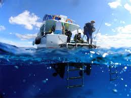 Image result for Uwe Sub Aqua Club