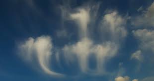 Attēlu rezultāti vaicājumam “Cirrus fibratus”