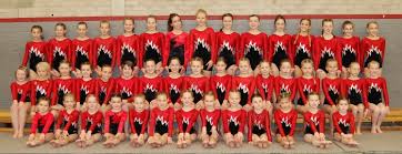 Image result for Stockport School Of Gymnastics