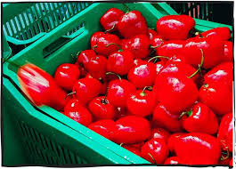 Afbeeldingsresultaat voor red rocoto hot pepper