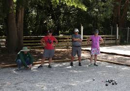 Image result for Tregony Petanque Club