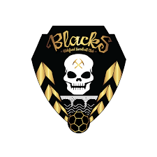 Image result for Ashford Tanners Handball Club