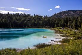 Image result for Leek Park B C