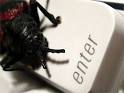 Q: 'Why did you write adware ?' A: 'I was broke' | ZDNet