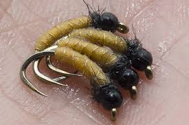 Attēlu rezultāti vaicājumam “nymph”