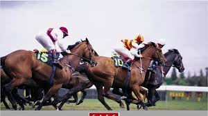 Image result for Springhead Association Football Club